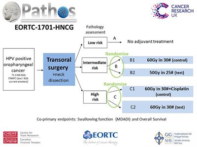 Deintensification of Adjuvant Treatment After Transoral Surgery in Patients With Human Papillomavirus-Positive Oropharyngeal Cancer: The Conception of the PATHOS Study and Its Development